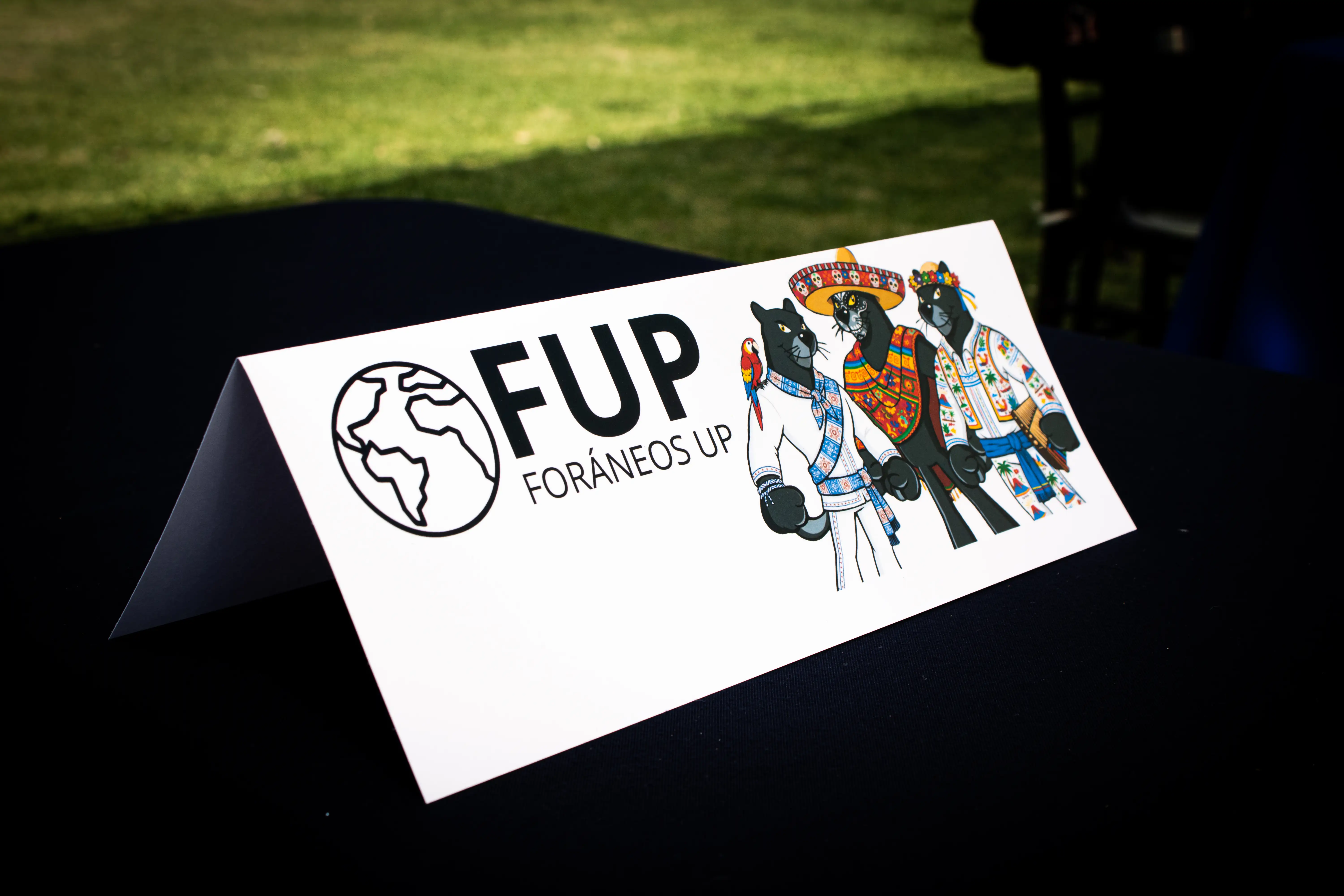 Grupos regionales de Foráneos UP